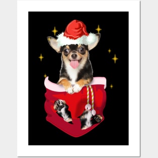 Chihuahua  In Pocket Christmas Gift Posters and Art